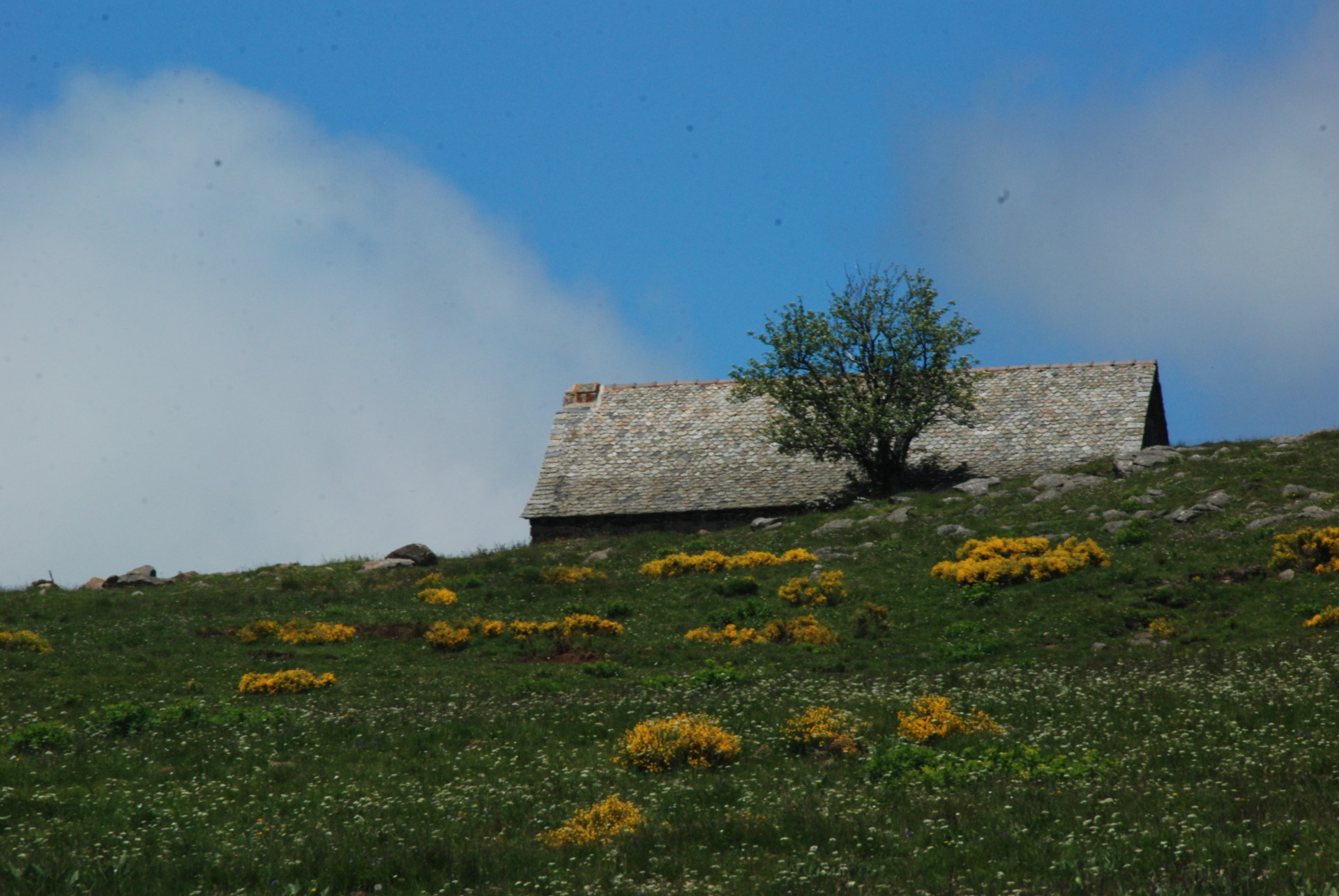 Circuits randonnée GR 65 et autres