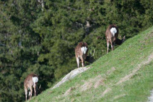 2023-05-05-Parc-de-Merlet-14