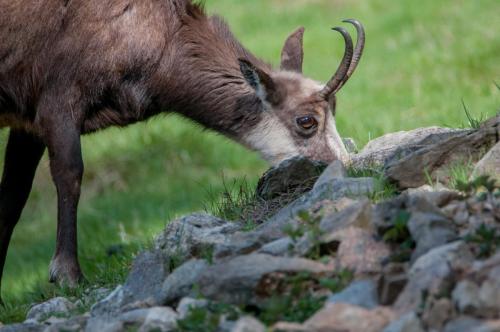 2023-05-05-Parc-de-Merlet-21 (1)