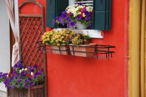 Burano