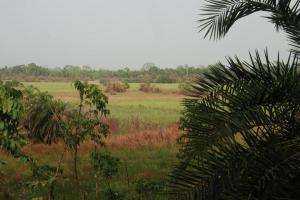 Côte d'Ivoire 304