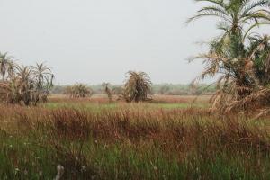 Côte d'Ivoire 306