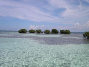 guadeloupe 