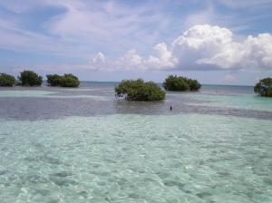 guadeloupe 