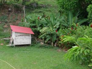 guadeloupe 