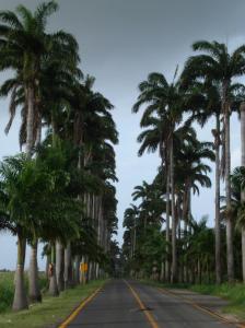 guadeloupe 