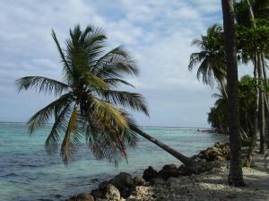 guadeloupe 