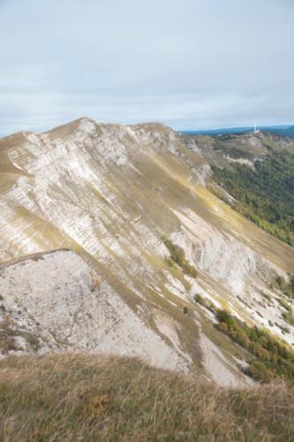 Autour Col de la Faucille 