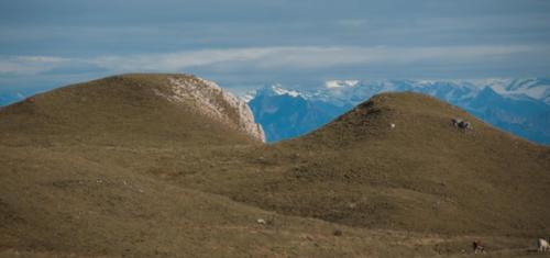 Autour Col de la Faucille 