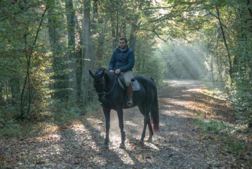 2020-09                    A Collombet   A cheval (16)