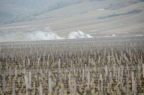 Clos de Vougeot