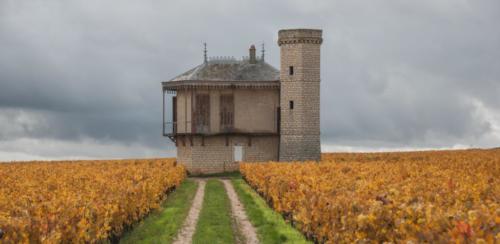 2020-10-26 Clos de vougeot (37)