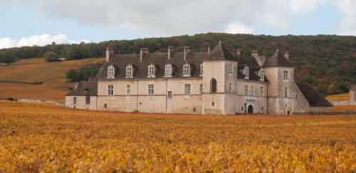 2020-10-26 Clos de vougeot (38)