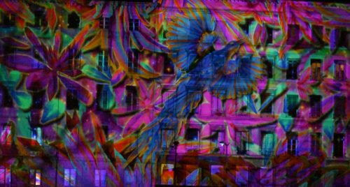 Lumieres-2025-Quai-de-Saone-18