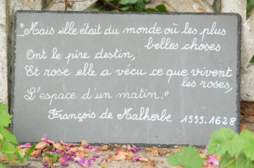 Chédigny