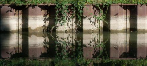 2020-07-28 Canal  (10)