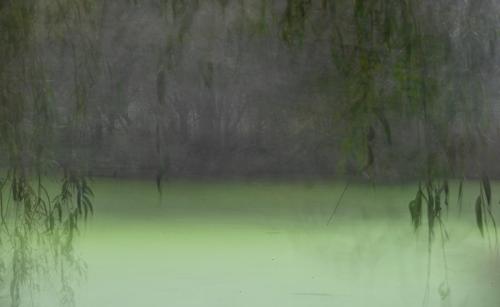AC-ICM-13