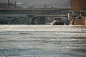 Saône 8