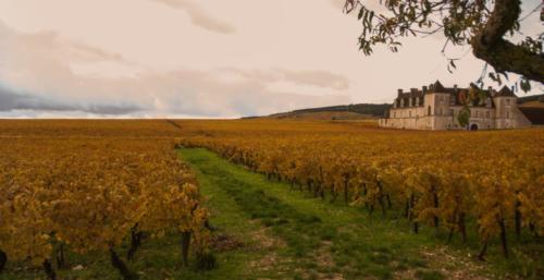 2020-10-26 Clos de vougeot (41)