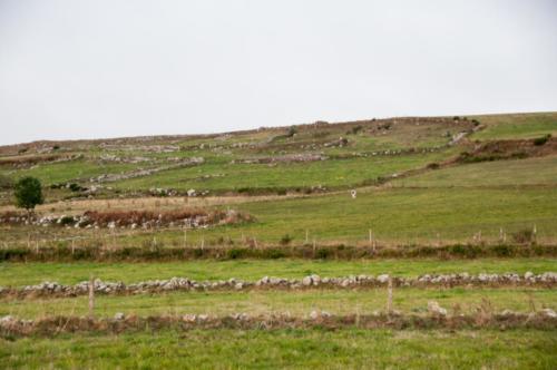 GR 70 Le Bouchet Saint-Nicolas Lac et environs 