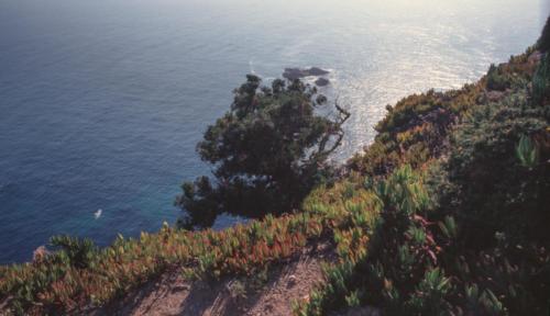 Cabo da Rocca (8)