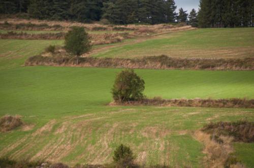GR 70 Goudet et environs 