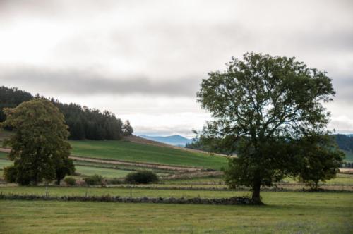 GR 70 Le Bouchet Saint-Nicolas Lac et environs 