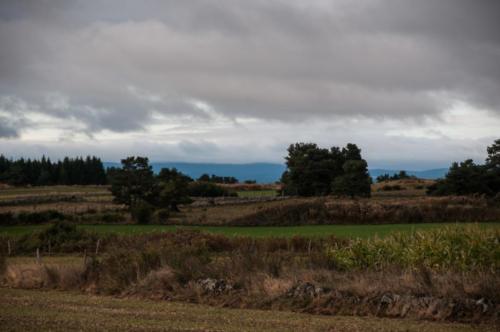 GR 70 Le Bouchet Saint-Nicolas Lac et environs 