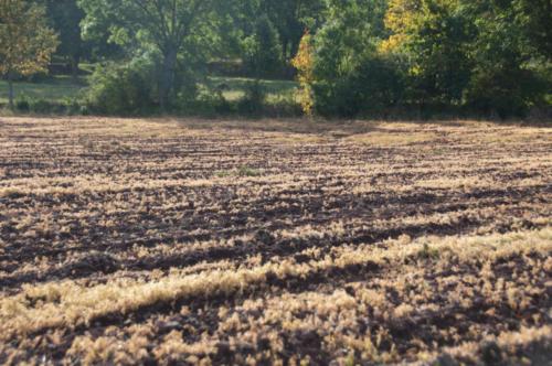 GR 70 Monastier sur Gazeille Bouchet Saint-Nicolas 