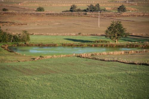 GR 70 Pradelles et environs 