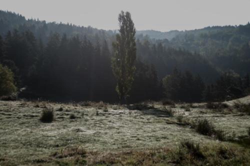 GR 70 Pradelles et environs 