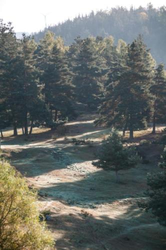 GR 70 Pradelles et environs 