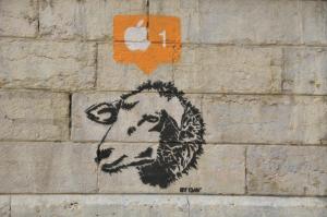 Lyon 
